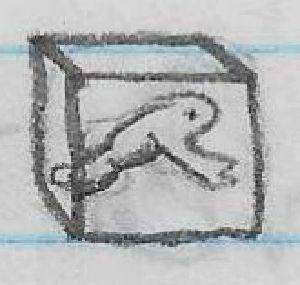 Childish drawing of a frog in a cube